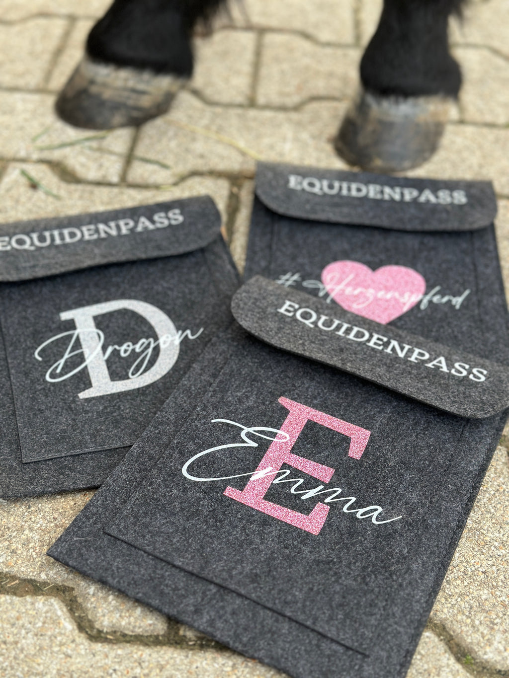 Equidenpasshülle